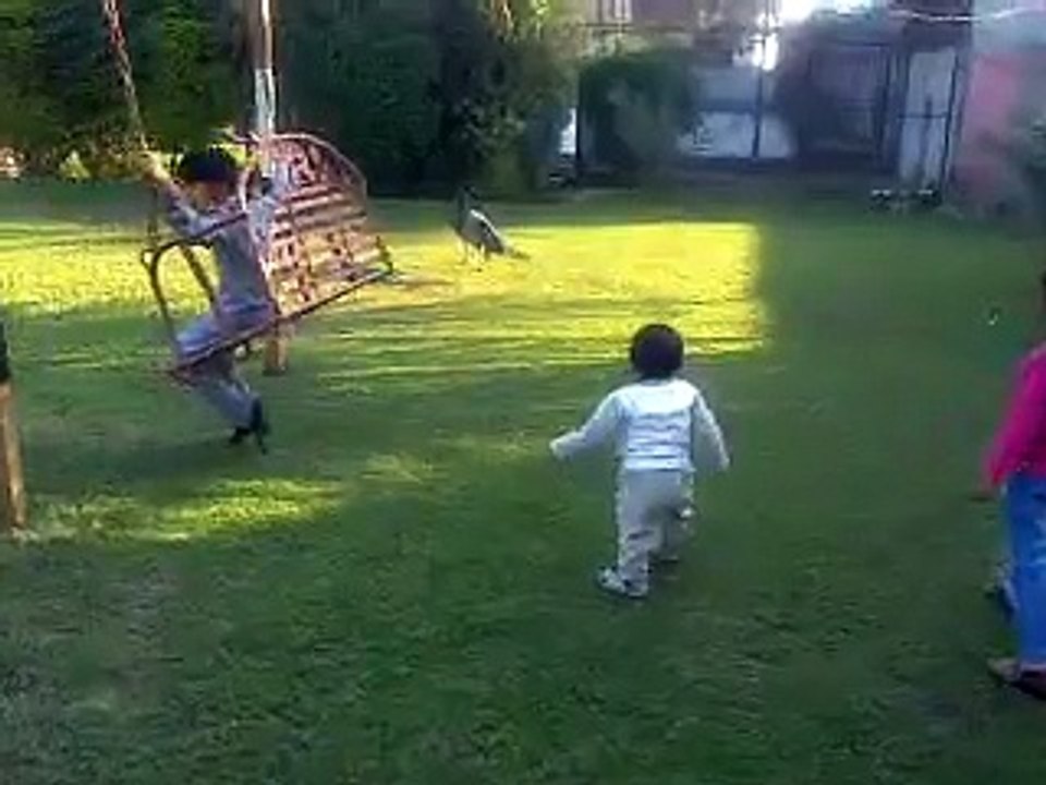 Video0000.3gp