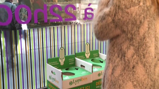 Recycler ses ampoules, un vrai casse-tête