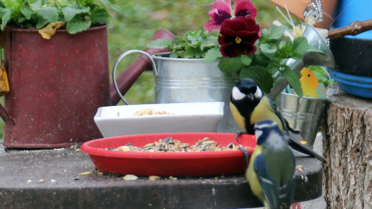 A table
