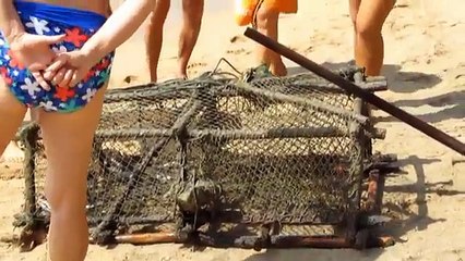 anjuna beach near call girls in goa 09145230393,call karan
