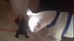 Tiny dog defends his food bowl from hungry pit bull! - YouTube