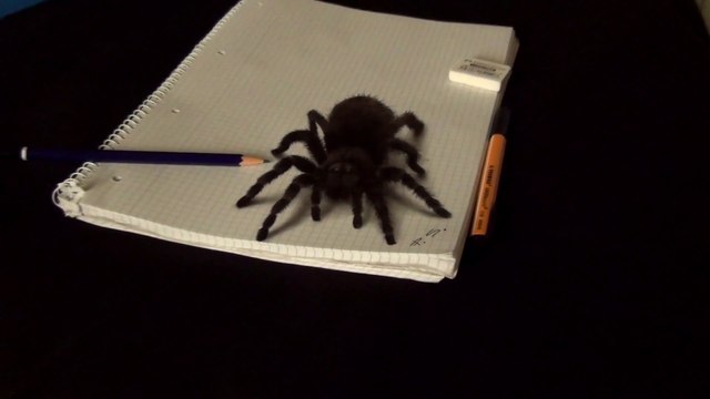 Watch Kids Freak Out at 3D Spider Drawing | Anamorphic 3D Illusion