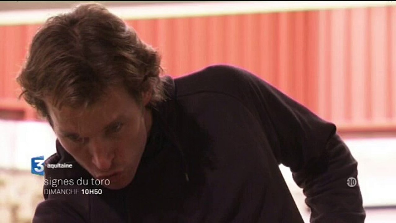 Bande annonce Signes du Toro  de novembre 2015