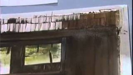 Friends of Bob Ross: Zoltan Szabo Old Wooden Shed