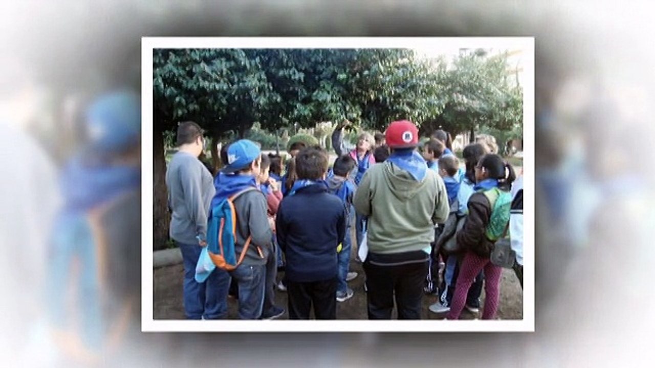VIDEO SAIDA SALINAE E BIBLIOTECA