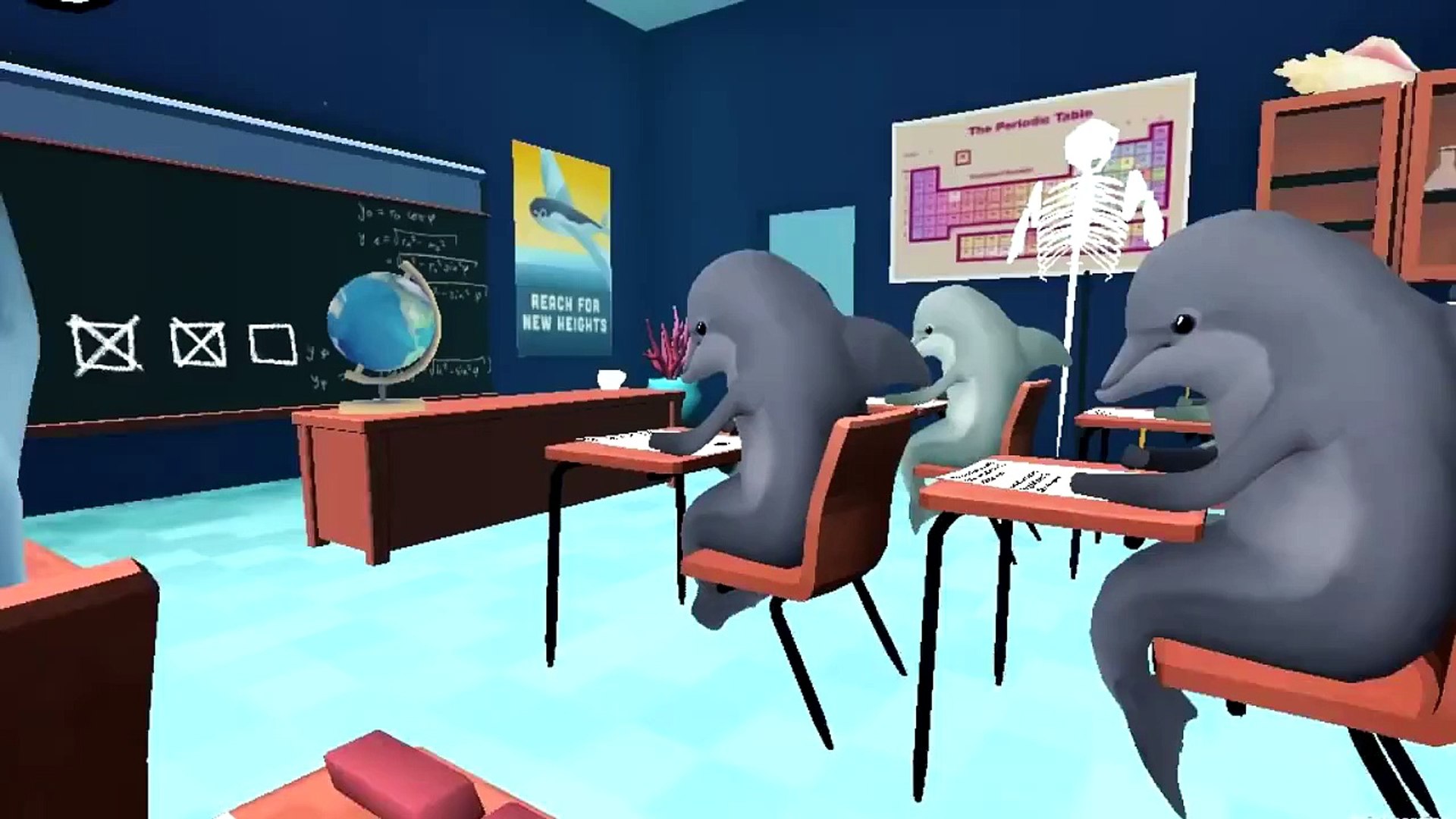 ⁣Classroom Aquatic - School For Dolphins - DanHanDan