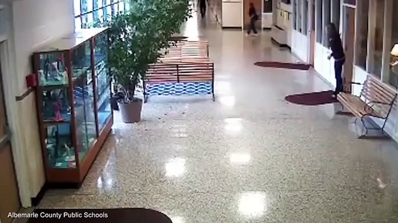 Un cerf n'arrive pas à rester debout sur un sol glissant