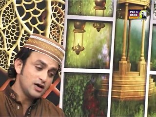 Aqa Laj pall