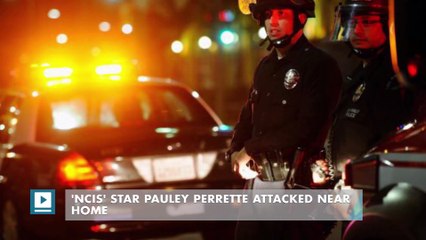 下载视频: 'NCIS' star Pauley Perrette attacked near home