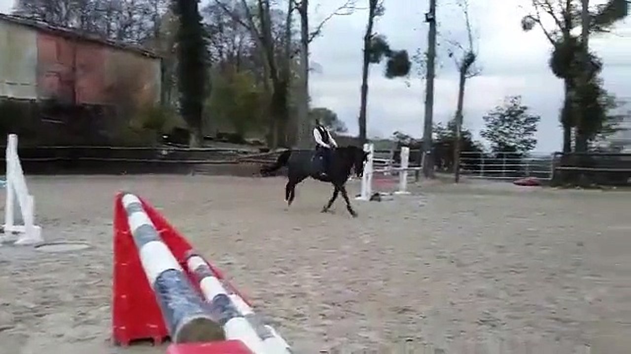 HONGRE DE 9 ANS,  REVE D'ELLE / ADELFOS