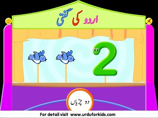 Counting in Urdu