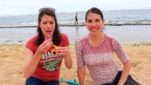 SURPRISE TOYS Challenge on Hawaii Beach With Barbie, Minnie Mouse, Shopkins Toys by Disney