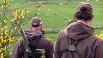 The Shooting Show Novice roebuck stalk with Chris Dalton