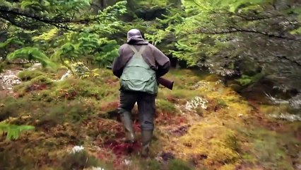 The Shooting Show walked up woodcock and expert varminting