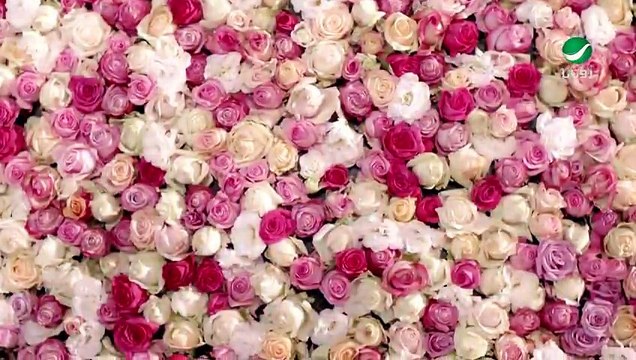 Najwa Karam - Ykhalili Albak -نجوى كرم - كليب يخليلي قلبك