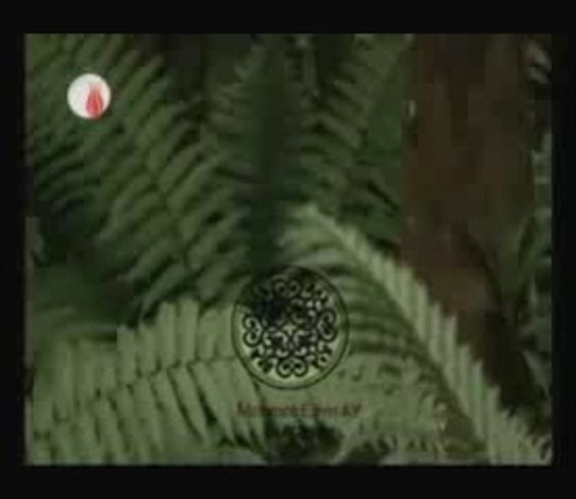 Tut elimden kaldır derde derman ey sultanım