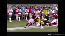 ***PITTSBURGH STEELERS HIGHLIGHTS***