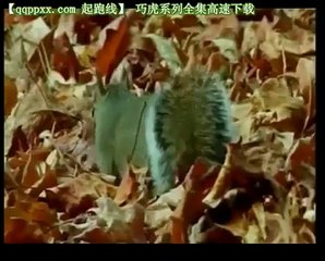 qiaohu快樂版 小小世界 可愛的松鼠