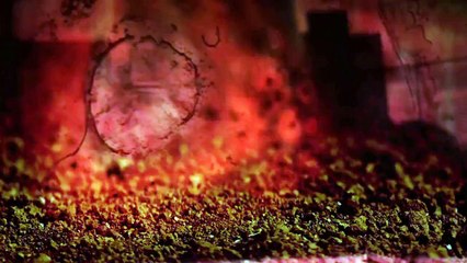 Doğuş - Beyazı Kırmızıya Vurun