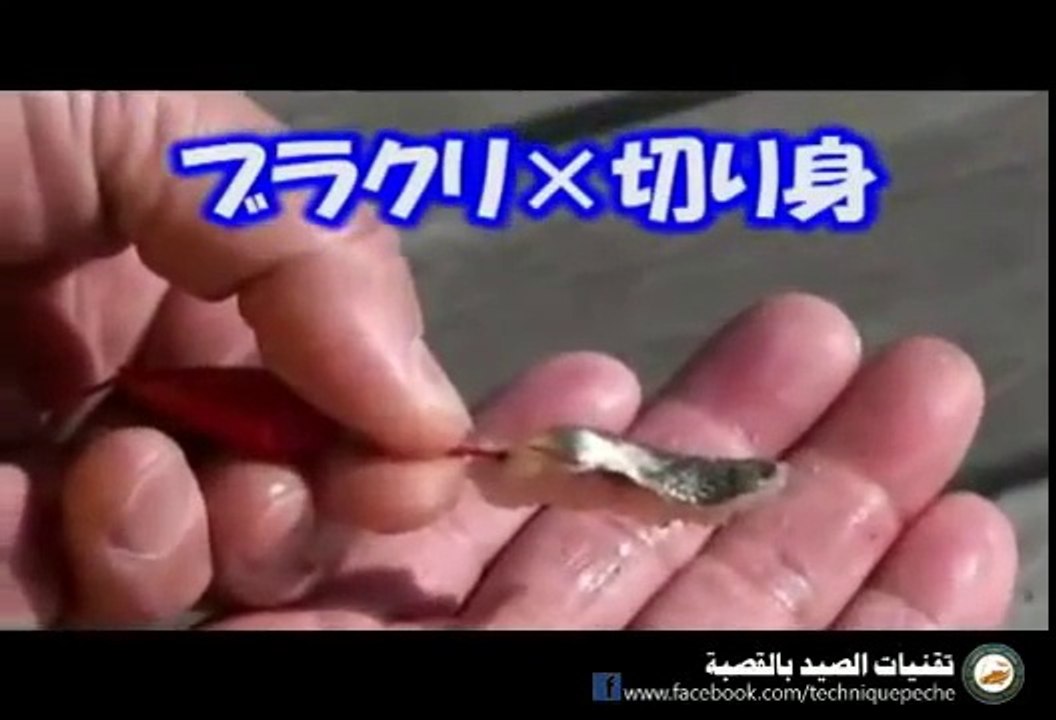 طريقة تركيب الطعم.. مثال (الدود,الربيان,الطعم الصناعي,السردين)