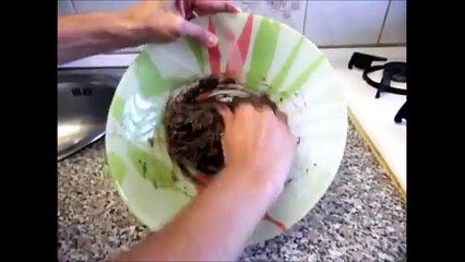 De una manera sencilla aprende como hacer bombones de Oreo