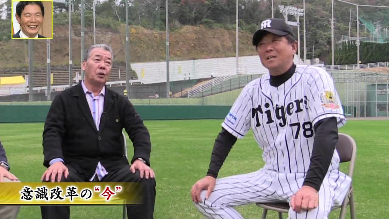 熱血！タイガース党 2015.11.13 秋季キャンプ特集