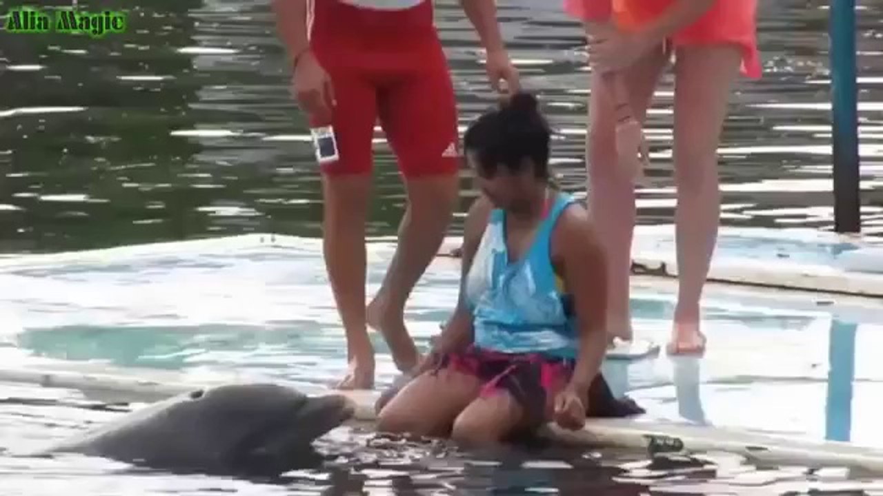 Funny videos 2015 try not to laugh or grin challenge