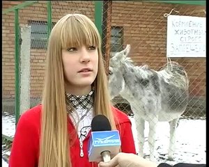 Donkey Spoils Interview very funny 2015