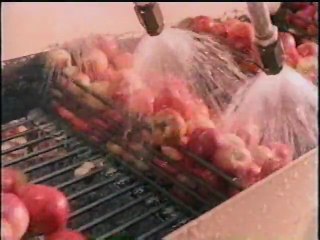 Fabulous Foods: Behind the Scenes of Your Favorite Snacks 🍎🥛