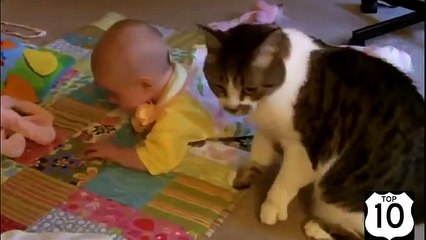 Пушистые заботливые няньки. Забавные кошки присматривают за детьми