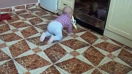 Ребёнок ползёт за попугаем. Попугай и малыш