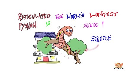 Fun Facts About Reptiles