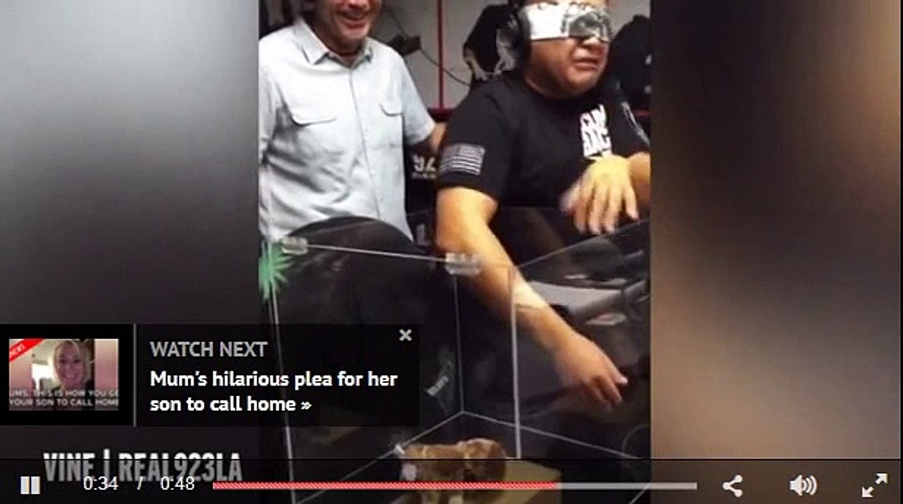 Grown man caught on camera freaking out about touching a teddy bear while blindfolded