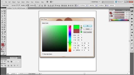 Pro Company Logo Design Lesson -illustrator cs5-