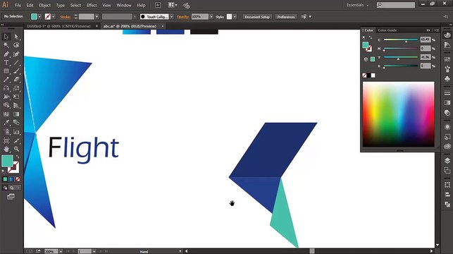 Professional Logo Design - Adobe Illustrator cc (Flight)