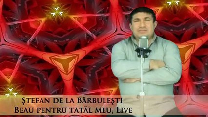 Stefan din Barbulesti Beau pentru tatal meu HIT 2013 2014 Muzica Petrecere Revelion