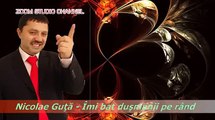 Nicolae Guta - Imi bat dusmanii pe rand www musichit ro