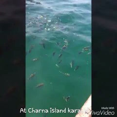 Enjoying at charna Island Karachi