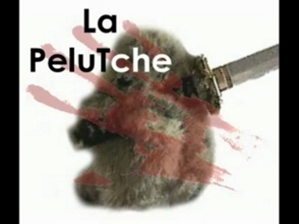 Bande annonce La PeluTche