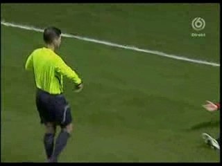Gilardino simulation