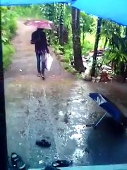 Children Carriage-LOL