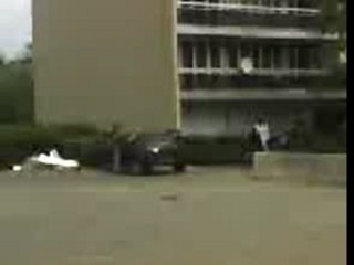 nour en mode petcon ZOLA ZOO