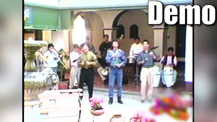 Ensamble Latino - Seda - Salsa Original 82 Bpm - Demo