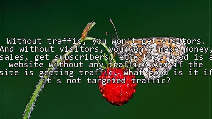 Generate free traffic to your website
