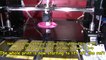 Protomaker 3D Printer. Some printing no calibration