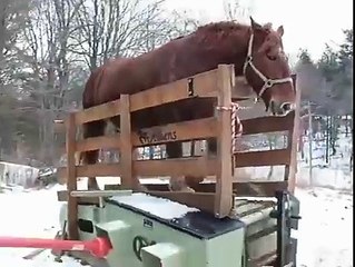 This is what we call Horsepower! Wonderful Engineering ...