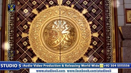 Bus Aik Darwaza Mal Bethay (Punjabi Naat) - Hafiz Zeeshan Elahi Sialvi