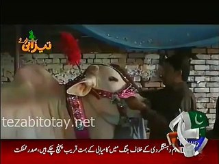 Eid Al Adha Tezabi Totay 2015 - Video Dailymotion