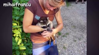 Funny Animals - A Funny And Cute Animal Videos Compilation 2015 [NEW HD]