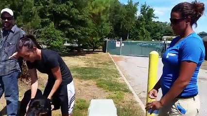 2-Year Old Rottweiler "Maverick:"  Before/After Video! Rottweiler Trainers in Virginia, DC, and MD